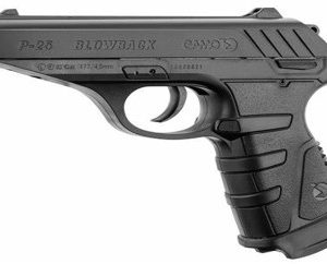 GAMO P-25 4.5MM GAS GUN